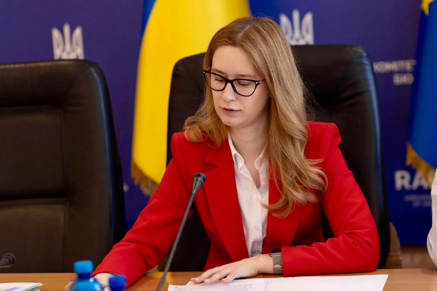 Третина оборонного бюджету України 2026 року буде спрямована на закупівлю зброї - Підласа