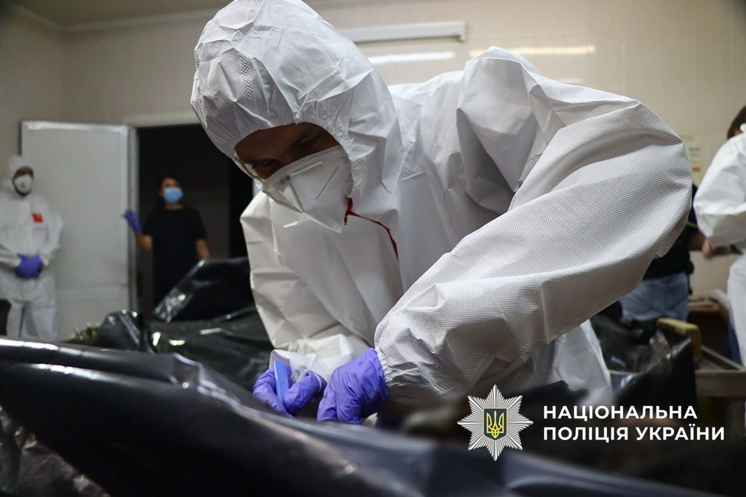 Українські Національні Новини (УНН)