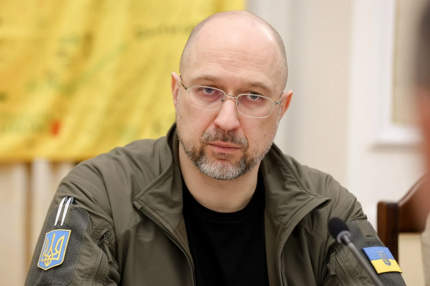 Рівень мобілізації в Україні за останній рік абсолютно стабільний і має тенденцію до зростання - Шмигаль