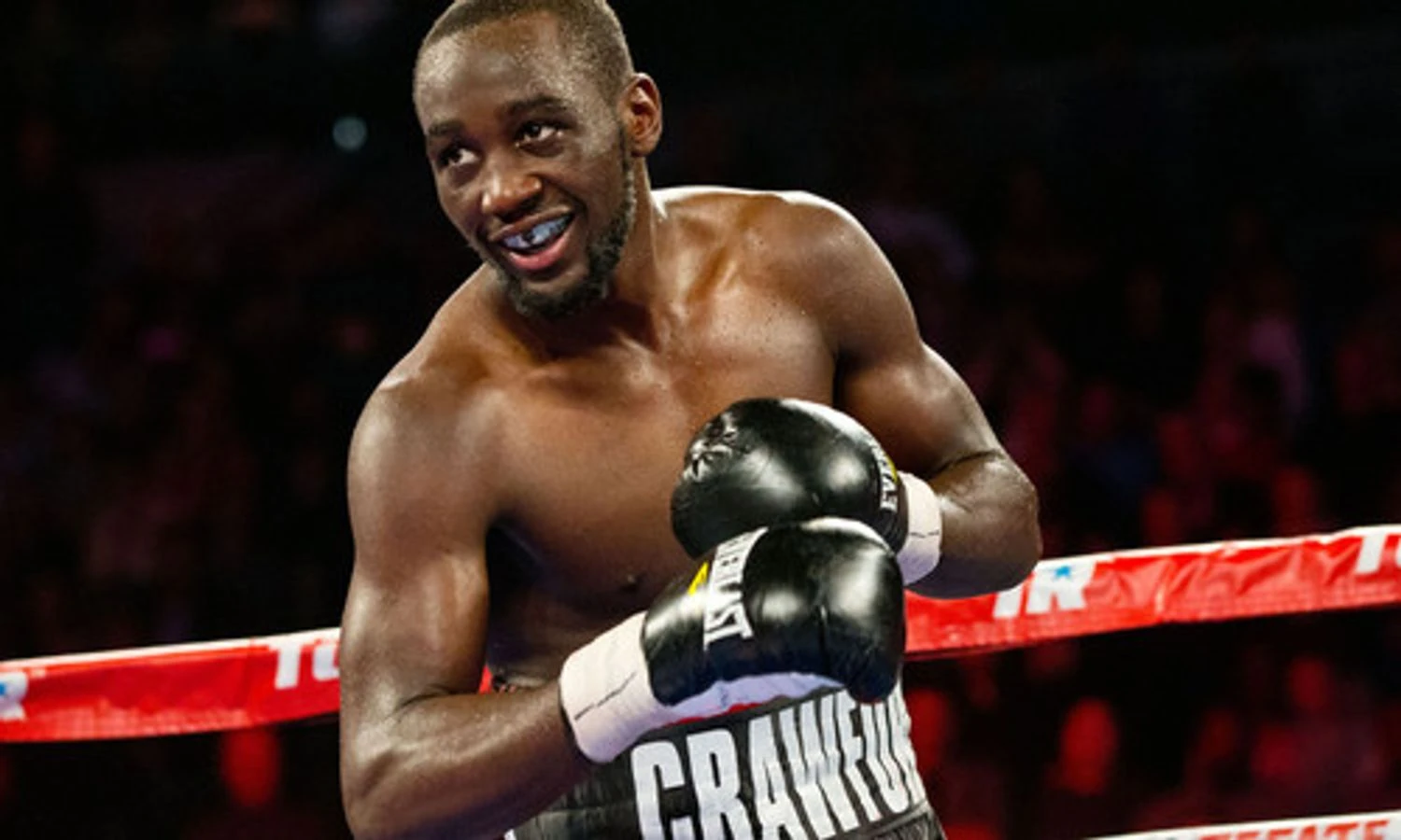 Українські Національні Новини (УНН)