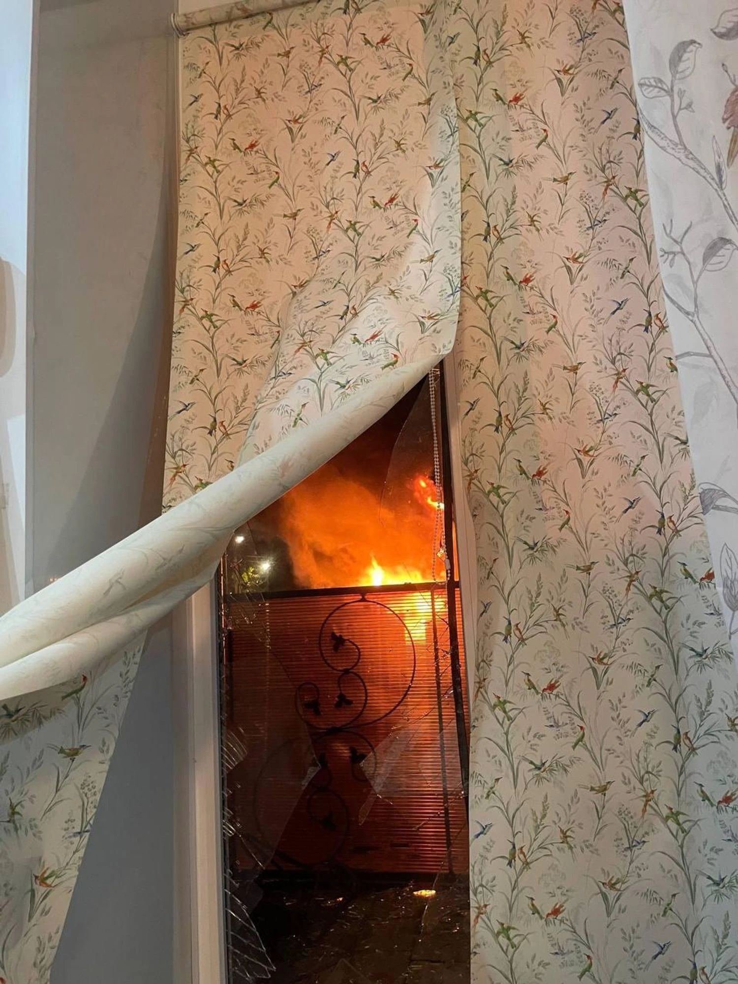 Українські Національні Новини (УНН)