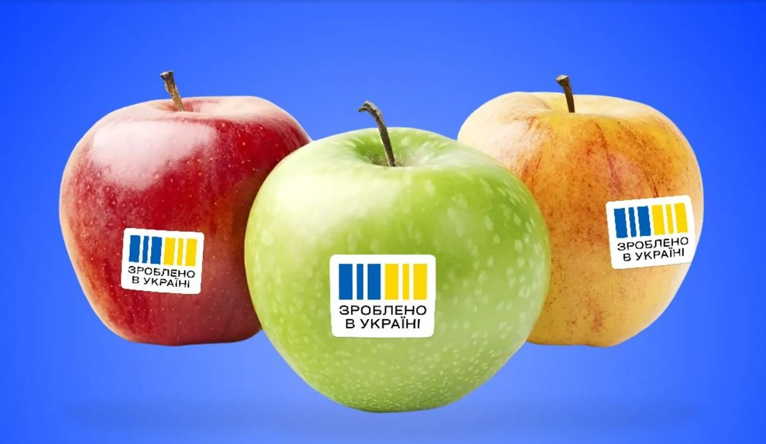 Як уряд планує захищати права українських виробників у публічних закупівлях: Свириденко розкрила деталі