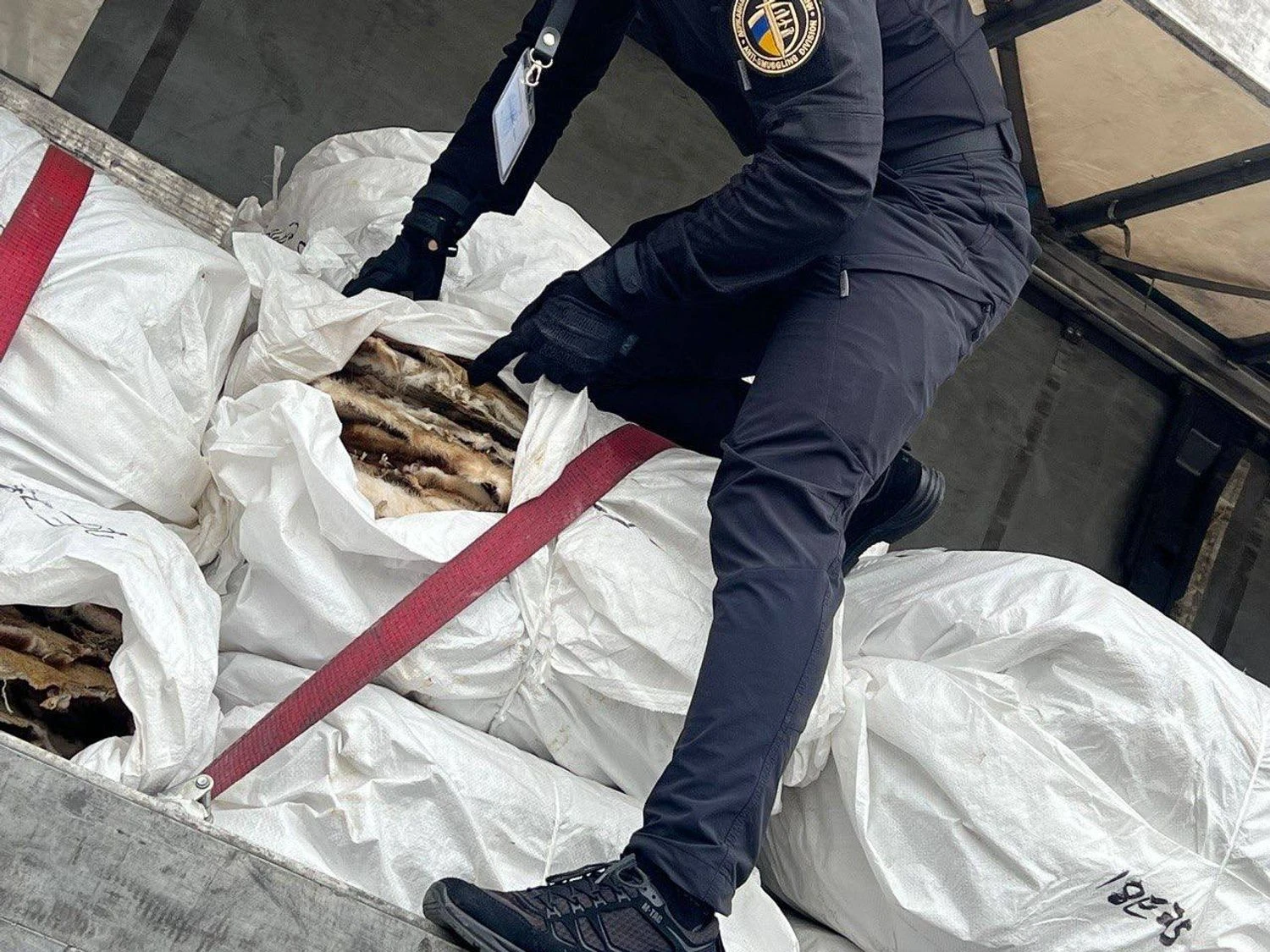 Українські Національні Новини (УНН)