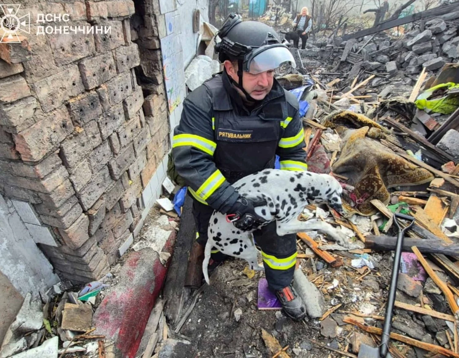 Не рухалася, лише тремтіла: з-під завалів у Добропіллі, після атаки рф, рятувальники витягли собаку