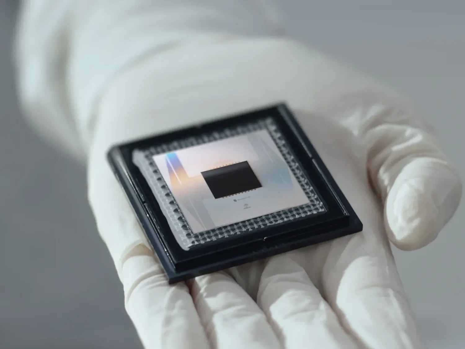 Українські Національні Новини (УНН)