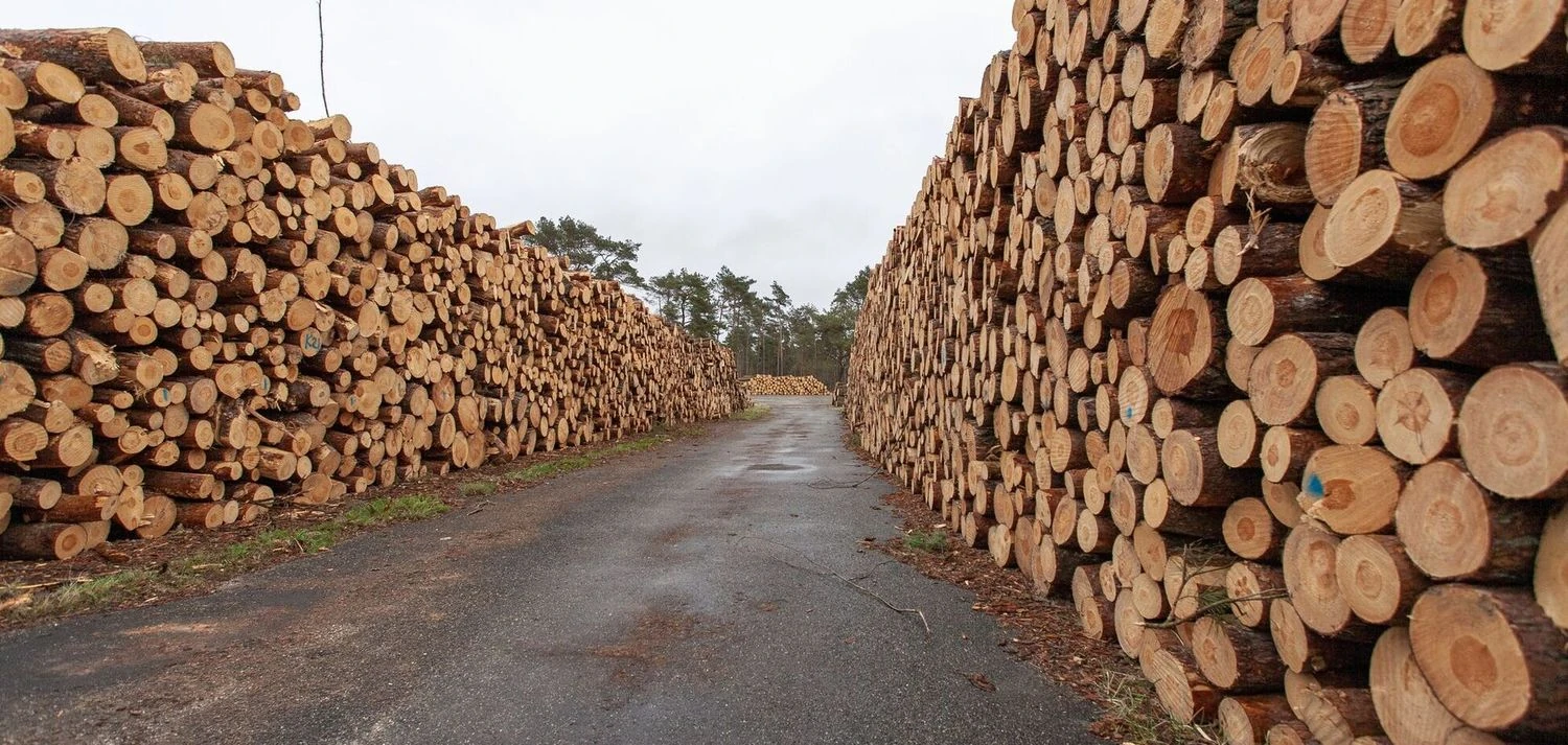Уряд продовжив обмеження експорту лісу та металобрухту до кінця 2026 року