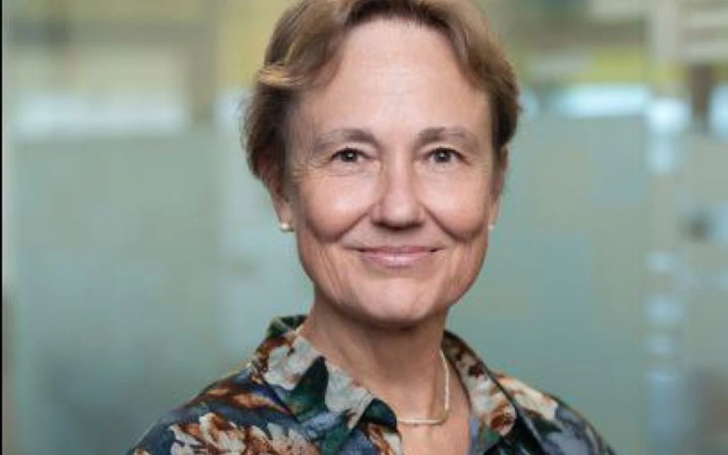 Українські Національні Новини (УНН)