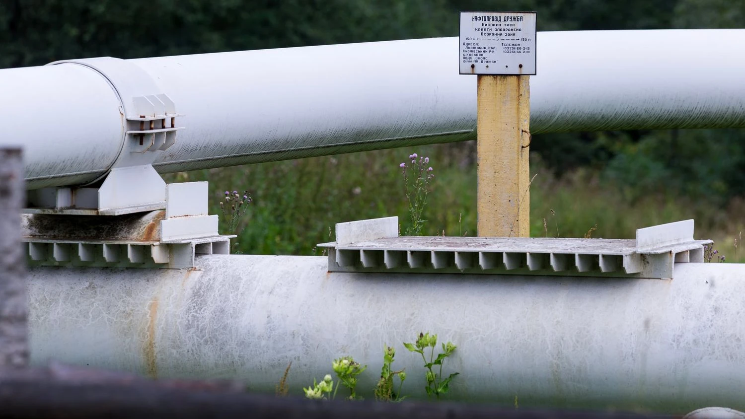 "Дружбу" відновлено - експерт пояснив, чому Угорщина та Словаччина не відмовляються від російської нафти
