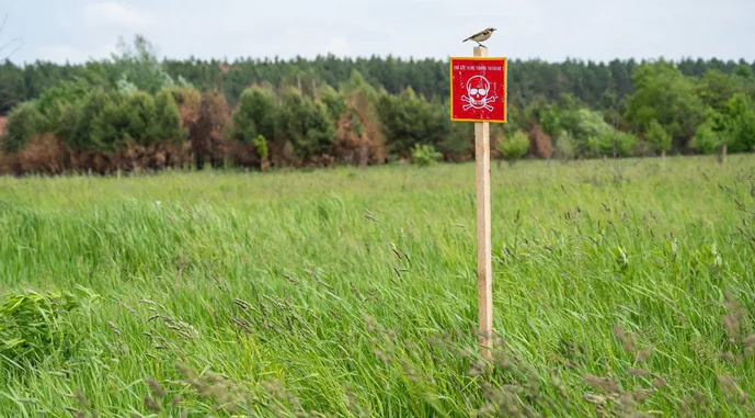 Уряд розширив можливості подання заяв до Реєстру збитків - можна буде отримати компенсацію за розмінування