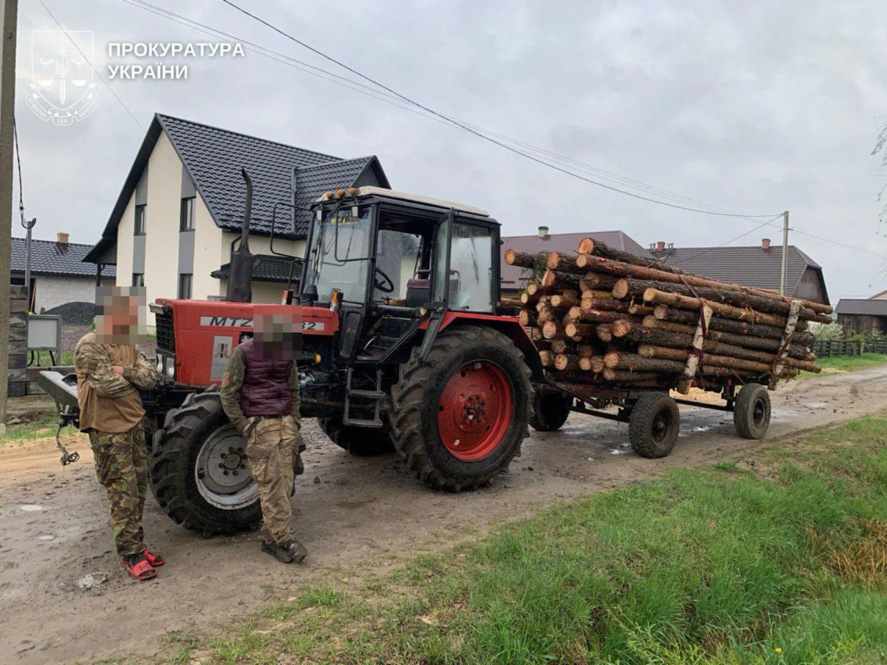 Незаконна рубка 13 тисяч дерев спричинила до чверті мільярда збитків, є 29 підозрюваних – Генпрокурор
